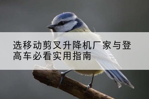 鲁山电动升降机厂家-选移动剪叉升降机厂家与登高车必看实用指南