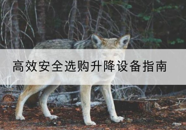鲁山升降货梯厂家推荐-*安全选购升降设备指南