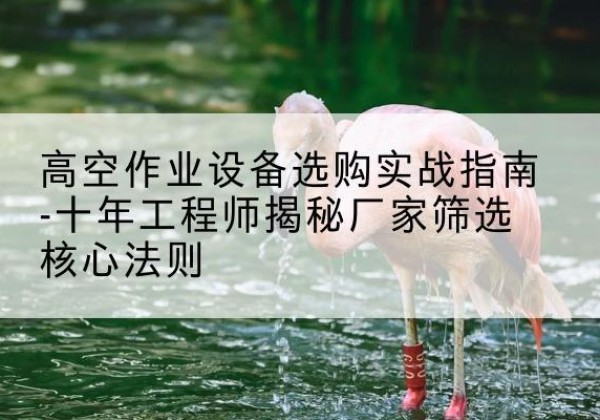 鲁山剪叉式升降机厂家-高空作业设备选购实战指南-十年工程师揭秘厂家筛选核心法则