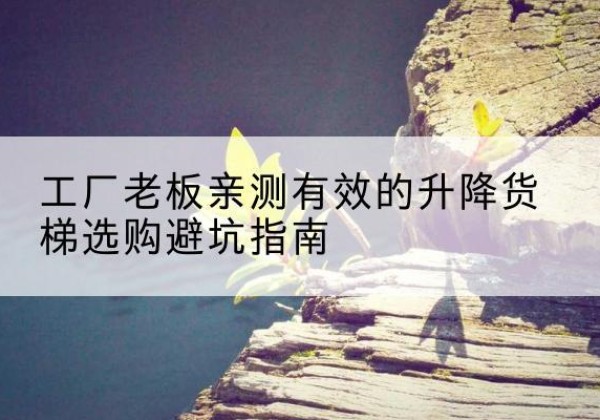 鲁山升降货梯怎么选-工厂老板亲测有效的升降货梯选购避坑指南